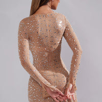 Sheer Embellished Long Sleeve A-Line Mini Dress in Almond